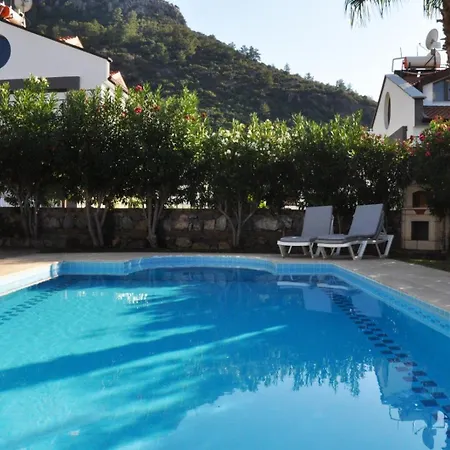 Zeytin C פאטהיה