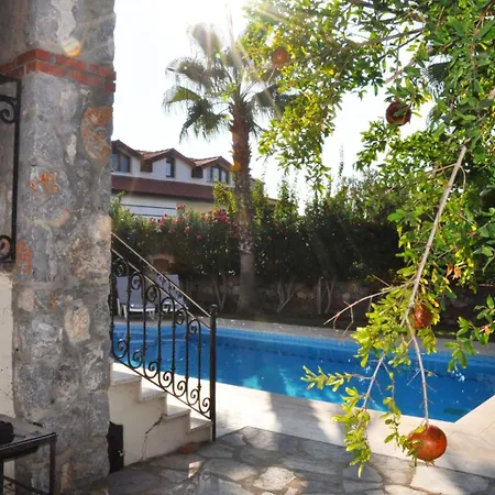 Zeytin C Vila Fethiye